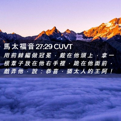 Picture 02 - 馬 太 福 音 27:29 CUVT - 用 荊 棘 編 做 冠 冕 ， 戴 在 他 頭 - Bible Verse Picture