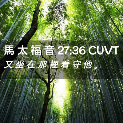 Picture 02 - 馬 太 福 音 27:36 CUVT - 又 坐 在 那 裡 看 守 他 - Bible Verse Picture