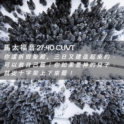 Picture 02 - 馬 太 福 音 27:40 CUVT - 你 這 拆 毀 聖 殿 、 三 日 又 建 造 - Bible Verse Picture