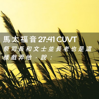 Picture 02 - 馬 太 福 音 27:41 CUVT - 祭 司 長 和 文 士 並 長 老 也 是 這 - Bible Verse Picture