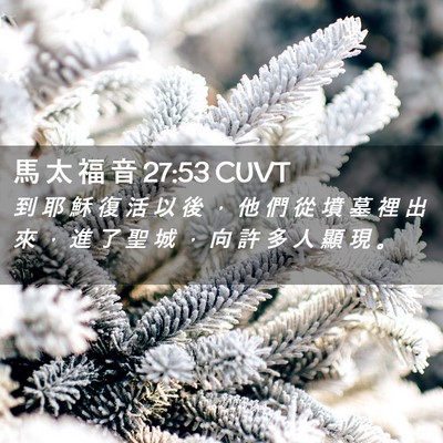 Picture 02 - 馬 太 福 音 27:53 CUVT - 到 耶 穌 復 活 以 後 ， 他 們 從 墳 - Bible Verse Picture