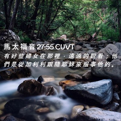 Picture 02 - 馬 太 福 音 27:55 CUVT - 有 好 些 婦 女 在 那 裡 ， 遠 遠 的 - Bible Verse Picture