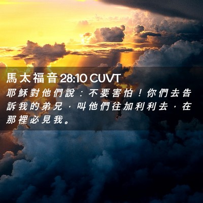 Picture 02 - 馬 太 福 音 28:10 CUVT - 耶 穌 對 他 們 說 ： 不 要 害 怕 ！ - Bible Verse Picture