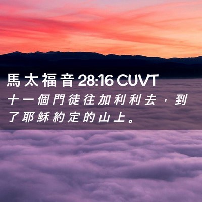 Picture 02 - 馬 太 福 音 28:16 CUVT - 十 一 個 門 徒 往 加 利 利 去 ， 到 - Bible Verse Picture
