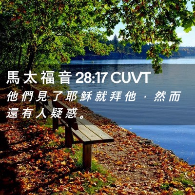 Picture 02 - 馬 太 福 音 28:17 CUVT - 他 們 見 了 耶 穌 就 拜 他 ， 然 而 - Bible Verse Picture