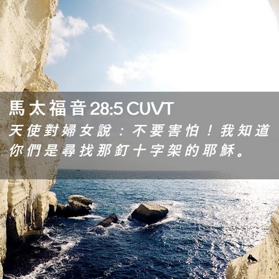 Picture 02 - 馬 太 福 音 28:5 CUVT - 天 使 對 婦 女 說 ： 不 要 害 怕 ！ - Bible Verse Picture