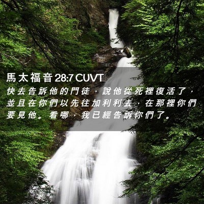 Picture 02 - 馬 太 福 音 28:7 CUVT - 快 去 告 訴 他 的 門 徒 ， 說 他 從 - Bible Verse Picture