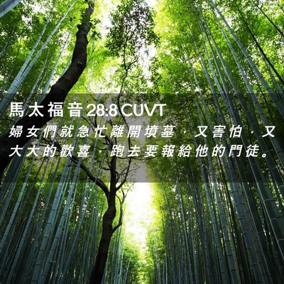 Picture 02 - 馬 太 福 音 28:8 CUVT - 婦 女 們 就 急 忙 離 開 墳 墓 ， 又 - Bible Verse Picture