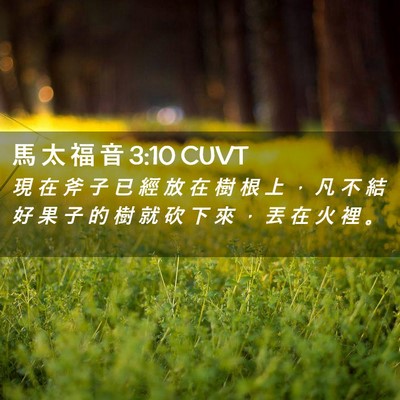 Picture 02 - 馬 太 福 音 3:10 CUVT - 現 在 斧 子 已 經 放 在 樹 根 上 ， - Bible Verse Picture