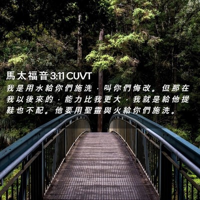 Picture 02 - 馬 太 福 音 3:11 CUVT - 我 是 用 水 給 你 們 施 洗 ， 叫 你 - Bible Verse Picture