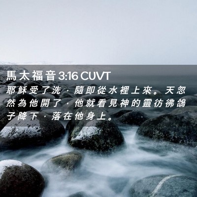 Picture 02 - 馬 太 福 音 3:16 CUVT - 耶 穌 受 了 洗 ， 隨 即 從 水 裡 上 - Bible Verse Picture