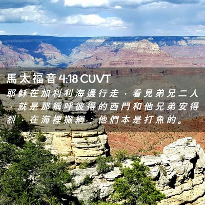 Picture 02 - 馬 太 福 音 4:18 CUVT - 耶 穌 在 加 利 利 海 邊 行 走 ， 看 - Bible Verse Picture