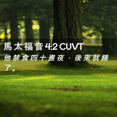 Picture 02 - 馬 太 福 音 4:2 CUVT - 他 禁 食 四 十 晝 夜 ， 後 來 就 餓 - Bible Verse Picture