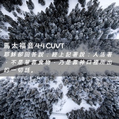 Picture 02 - 馬 太 福 音 4:4 CUVT - 耶 穌 卻 回 答 說 ： 經 上 記 著 說 - Bible Verse Picture