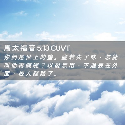 Picture 02 - 馬 太 福 音 5:13 CUVT - 你 們 是 世 上 的 鹽 。 鹽 若 失 了 - Bible Verse Picture
