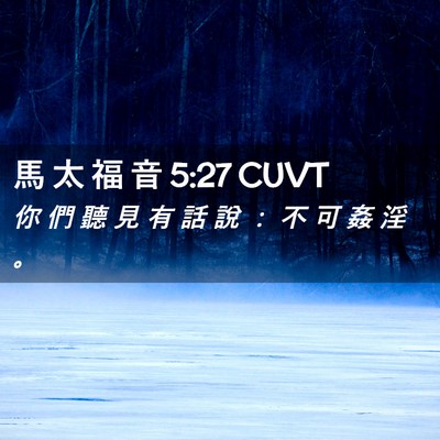 Picture 02 - 馬 太 福 音 5:27 CUVT - 你 們 聽 見 有 話 說 ： 不 可 姦 淫 - Bible Verse Picture
