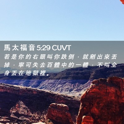 Picture 02 - 馬 太 福 音 5:29 CUVT - 若 是 你 的 右 眼 叫 你 跌 倒 ， 就 - Bible Verse Picture