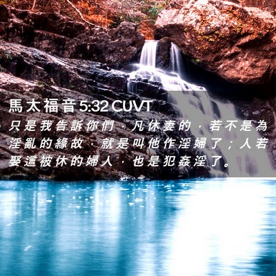 Picture 02 - 馬 太 福 音 5:32 CUVT - 只 是 我 告 訴 你 們 ， 凡 休 妻 的 - Bible Verse Picture