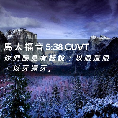 Picture 02 - 馬 太 福 音 5:38 CUVT - 你 們 聽 見 有 話 說 ： 以 眼 還 眼 - Bible Verse Picture