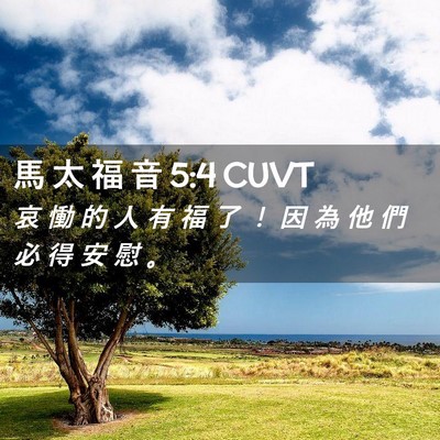 Picture 02 - 馬 太 福 音 5:4 CUVT - 哀 慟 的 人 有 福 了 ！ 因 為 他 們 - Bible Verse Picture