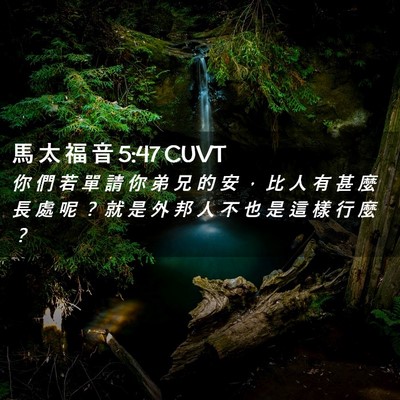 Picture 02 - 馬 太 福 音 5:47 CUVT - 你 們 若 單 請 你 弟 兄 的 安 ， 比 - Bible Verse Picture