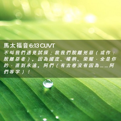 Picture 02 - 馬 太 福 音 6:13 CUVT - 不 叫 我 們 遇 見 試 探 ； 救 我 們 - Bible Verse Picture