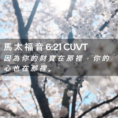 Picture 02 - 馬 太 福 音 6:21 CUVT - 因 為 你 的 財 寶 在 那 裡 ， 你 的 - Bible Verse Picture
