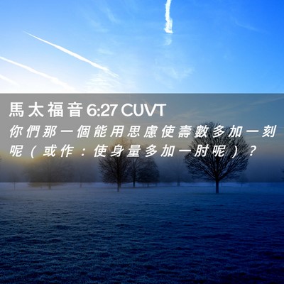 Picture 02 - 馬 太 福 音 6:27 CUVT - 你 們 那 一 個 能 用 思 慮 使 壽 數 - Bible Verse Picture