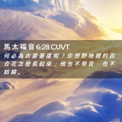 Picture 02 - 馬 太 福 音 6:28 CUVT - 何 必 為 衣 裳 憂 慮 呢 ？ 你 想 野 - Bible Verse Picture