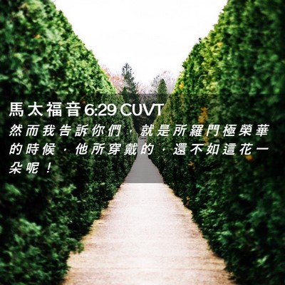 Picture 02 - 馬 太 福 音 6:29 CUVT - 然 而 我 告 訴 你 們 ， 就 是 所 羅 - Bible Verse Picture