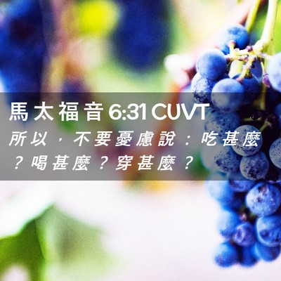 Picture 02 - 馬 太 福 音 6:31 CUVT - 所 以 ， 不 要 憂 慮 說 ： 吃 甚 麼 - Bible Verse Picture