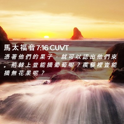 Picture 02 - 馬 太 福 音 7:16 CUVT - 憑 著 他 們 的 果 子 ， 就 可 以 認 - Bible Verse Picture