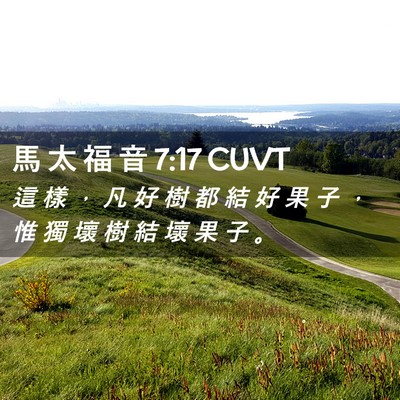 Picture 02 - 馬 太 福 音 7:17 CUVT - 這 樣 ， 凡 好 樹 都 結 好 果 子 ， - Bible Verse Picture