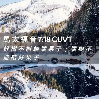 Picture 02 - 馬 太 福 音 7:18 CUVT - 好 樹 不 能 結 壞 果 子 ； 壞 樹 不 - Bible Verse Picture
