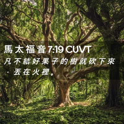 Picture 02 - 馬 太 福 音 7:19 CUVT - 凡 不 結 好 果 子 的 樹 就 砍 下 來 - Bible Verse Picture