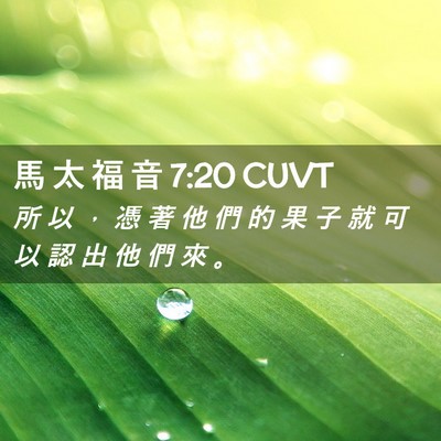 Picture 02 - 馬 太 福 音 7:20 CUVT - 所 以 ， 憑 著 他 們 的 果 子 就 可 - Bible Verse Picture