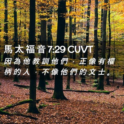 Picture 02 - 馬 太 福 音 7:29 CUVT - 因 為 他 教 訓 他 們 ， 正 像 有 權 - Bible Verse Picture