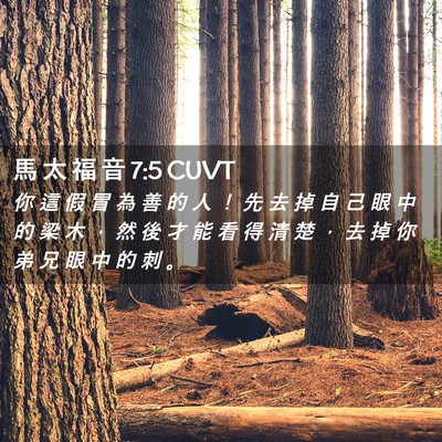 Picture 02 - 馬 太 福 音 7:5 CUVT - 你 這 假 冒 為 善 的 人 ！ 先 去 掉 - Bible Verse Picture