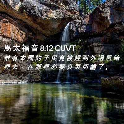 Picture 02 - 馬 太 福 音 8:12 CUVT - 惟 有 本 國 的 子 民 竟 被 趕 到 外 - Bible Verse Picture