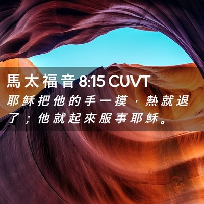 Picture 02 - 馬 太 福 音 8:15 CUVT - 耶 穌 把 他 的 手 一 摸 ， 熱 就 退 - Bible Verse Picture