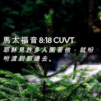 Picture 02 - 馬 太 福 音 8:18 CUVT - 耶 穌 見 許 多 人 圍 著 他 ， 就 吩 - Bible Verse Picture