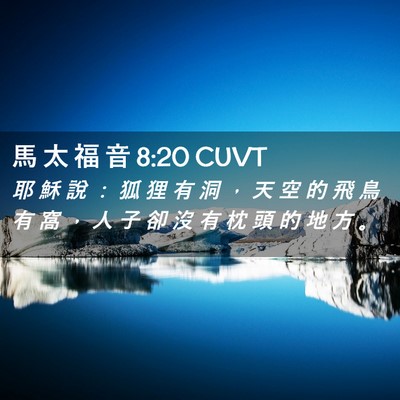 Picture 02 - 馬 太 福 音 8:20 CUVT - 耶 穌 說 ： 狐 狸 有 洞 ， 天 空 的 - Bible Verse Picture