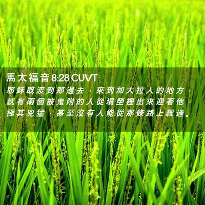 Picture 02 - 馬 太 福 音 8:28 CUVT - 耶 穌 既 渡 到 那 邊 去 ， 來 到 加 - Bible Verse Picture
