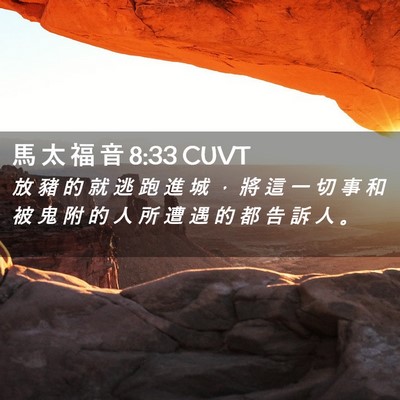 Picture 02 - 馬 太 福 音 8:33 CUVT - 放 豬 的 就 逃 跑 進 城 ， 將 這 一 - Bible Verse Picture