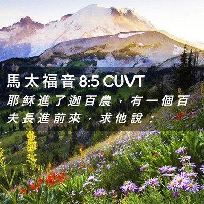 Picture 02 - 馬 太 福 音 8:5 CUVT - 耶 穌 進 了 迦 百 農 ， 有 一 個 百 - Bible Verse Picture