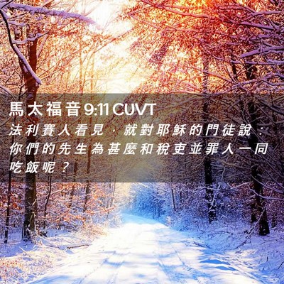 Picture 02 - 馬 太 福 音 9:11 CUVT - 法 利 賽 人 看 見 ， 就 對 耶 穌 的 - Bible Verse Picture