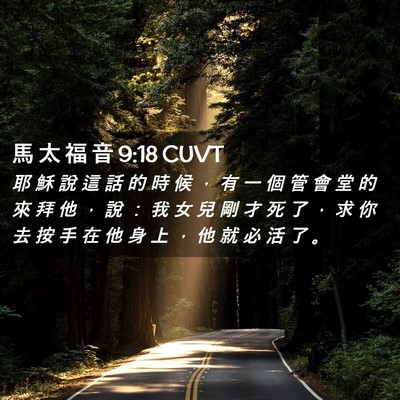 Picture 02 - 馬 太 福 音 9:18 CUVT - 耶 穌 說 這 話 的 時 候 ， 有 一 個 - Bible Verse Picture