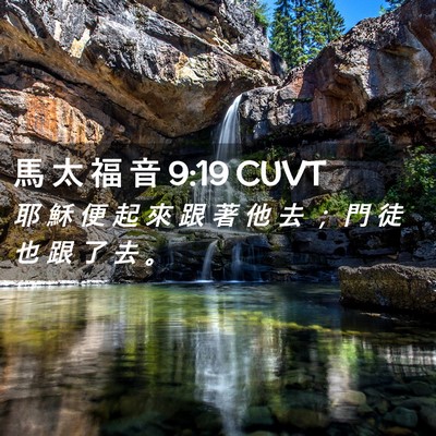 Picture 02 - 馬 太 福 音 9:19 CUVT - 耶 穌 便 起 來 跟 著 他 去 ； 門 徒 - Bible Verse Picture