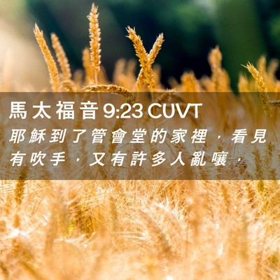 Picture 02 - 馬 太 福 音 9:23 CUVT - 耶 穌 到 了 管 會 堂 的 家 裡 ， 看 - Bible Verse Picture