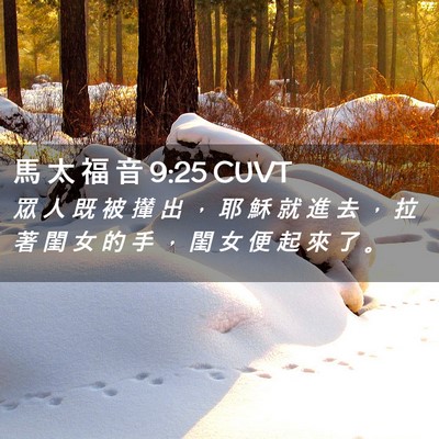 Picture 02 - 馬 太 福 音 9:25 CUVT - 眾 人 既 被 攆 出 ， 耶 穌 就 進 去 - Bible Verse Picture